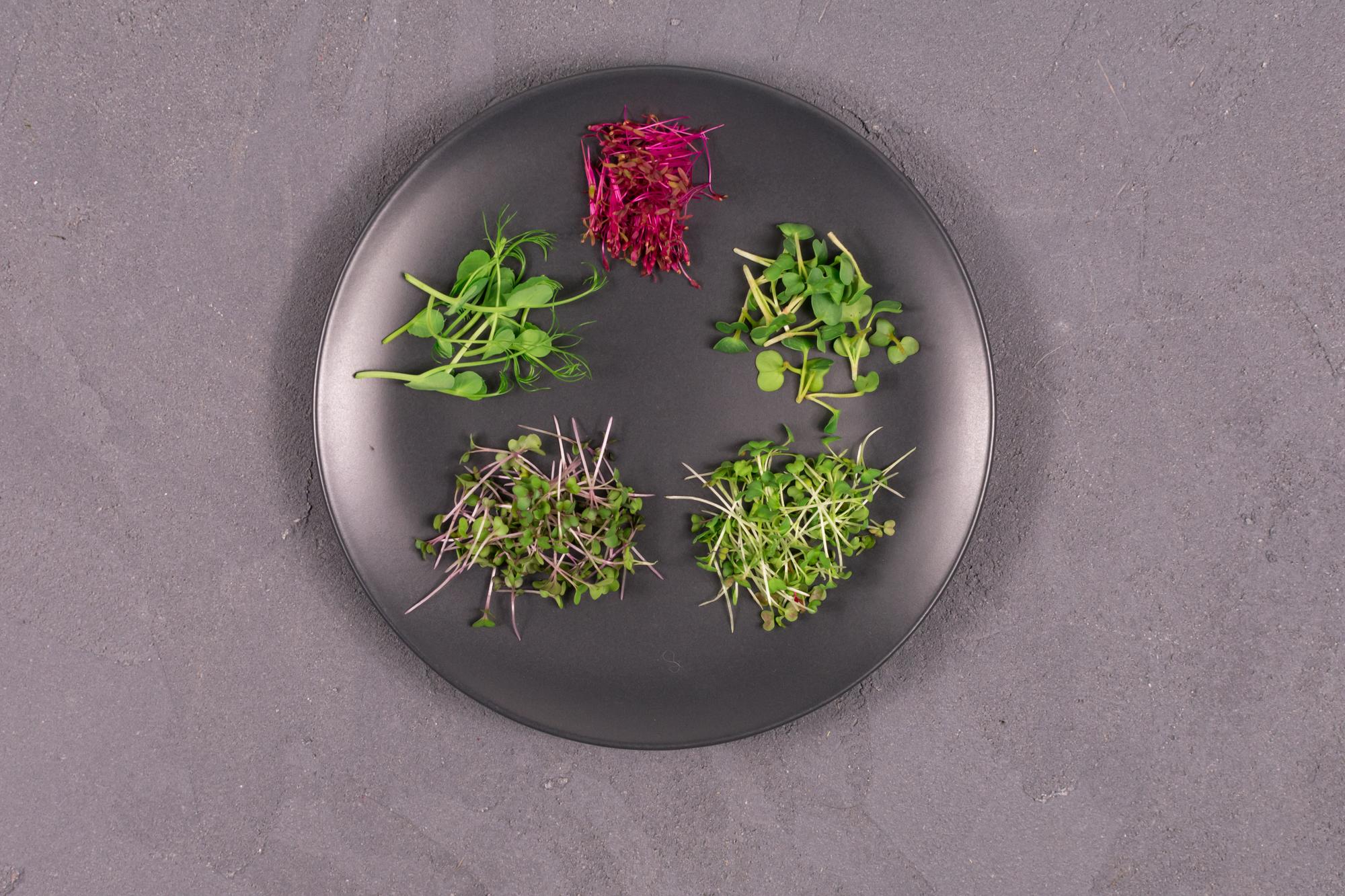 Dettaglio di impiattamento con micro-erbe